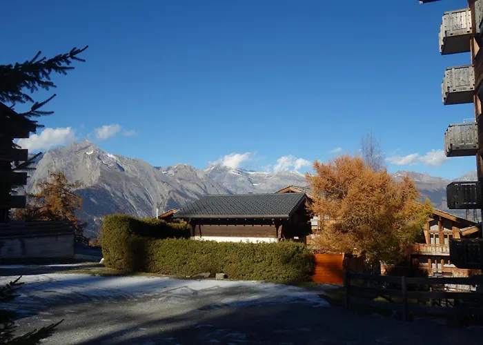 Pracondu 2 205 - Outdoor & Fun Charming